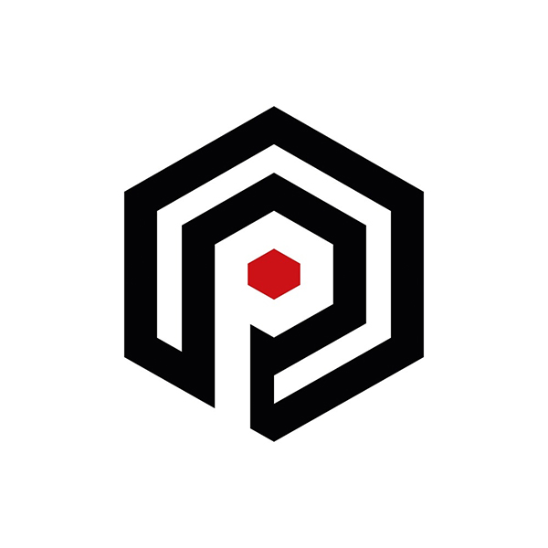 developer-logo