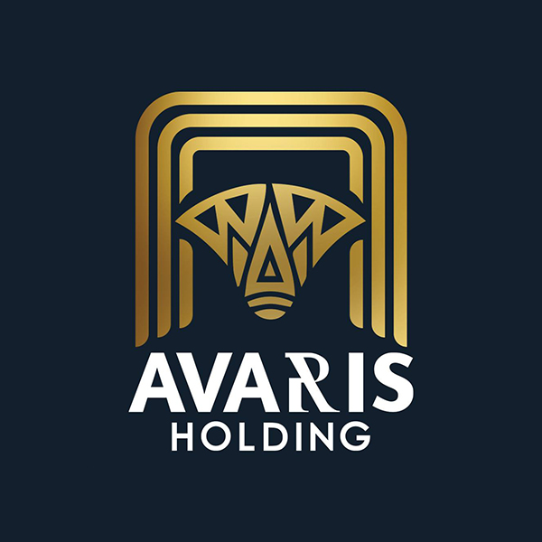 developer-logo