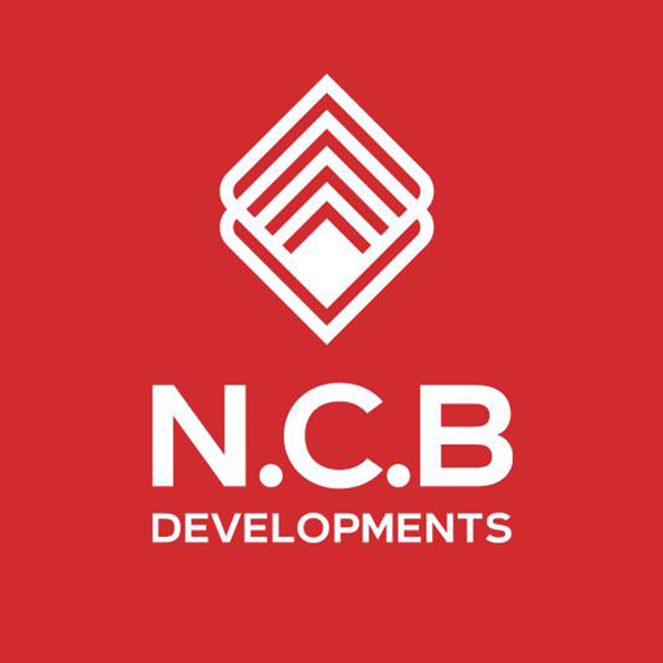 developer-logo